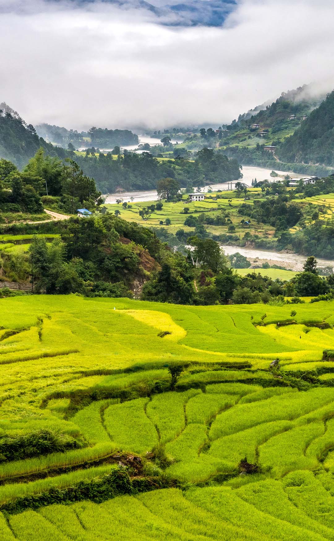 A rural Bhutanese village nestled among green hills
